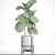 Lyrata Ficus Tree: Strikingly Beautiful 3D model small image 3