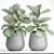 Ficus Lyrate Collection: 9 Varieties 3D model small image 1