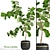 Luxury Ficus Lyrate: Decorative Indoor Tree 3D model small image 1