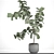 Luxury Ficus Lyrate: Decorative Indoor Tree 3D model small image 3