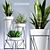 Greenery Delight: Premium 3D Plant Collection 3D model small image 1