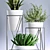 Greenery Delight: Premium 3D Plant Collection 3D model small image 2