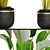Botanical Pot Collection 3D model small image 2