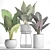 Tropical Pot Plant Collection 3D model small image 3