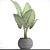 Tropical Elegance: Alocasia Plant 3D model small image 3