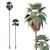 Tropical Majesty: Washingtonia Robusta Palms 3D model small image 1