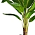 Tropical Bliss: Banana Tree 3D model small image 2