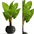 Exquisite Alocasia: Elegant and Rare 3D model small image 1