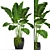 Tropical Delight: Banana Palm in Pot 3D model small image 1