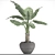 Tropical Delight: Banana Palm in Pot 3D model small image 3