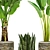 Tropical Plant Collection: Palm, Calathea, Sanservieria 3D model small image 2