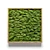 Natural Moss Wall Art 3D model small image 2