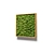 Natural Moss Wall Art 3D model small image 4