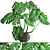 Luxury Monstera Plant 3D model small image 1