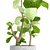 Ficus Lyrata: Gorgeous Pot Collection 3D model small image 2