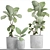 Ficus Lyrata: Gorgeous Pot Collection 3D model small image 3