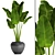 Tropical Delight: Banana Palm in Pot 3D model small image 1