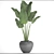 Tropical Delight: Banana Palm in Pot 3D model small image 3