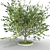 Elegant Tree Model 3D model small image 1