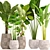 Potted Plant Collection 41 3D model small image 1