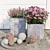 Street Blooms | Low & Tall Vases 3D model small image 1