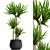 Decorative Yucca Plant Pot 3D model small image 1