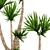 Yucca Collection: Potted Beauties 3D model small image 2