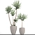 Yucca Collection: Potted Beauties 3D model small image 3
