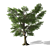 3D Tree Model - High Quality, Textured 3D model small image 1