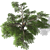 3D Tree Model - High Quality, Textured 3D model small image 2