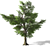 3D Tree Model - High Quality, Textured 3D model small image 3