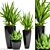 Tropical Plant Pot Collection 3D model small image 1