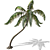 Tropical Palm Tree 3D Model 3D model small image 1