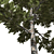 High-Quality 3D Tree Model 3D model small image 2