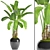 Tropical Bliss: Banana Palm in Pot 3D model small image 1