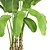 Tropical Bliss: Banana Palm in Pot 3D model small image 2