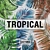 Tropical Bliss: Vinyl Wallpaper Collection 3D model small image 1