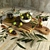 Olive Oil & Vinegar Bottle Set 3D model small image 1