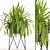 Lush Fern Pot 3D model small image 1