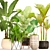 Tropical Plant Collection: 48 Potted Beauties 3D model small image 1