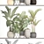 Tropical Plant Collection: 48 Potted Beauties 3D model small image 3