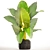 Lush Tropical Alocasia Macrorrhiza 3D model small image 3