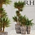 Elevate Your Space: Restoration Hardware Corso Planter 3D model small image 1