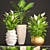 Indoor Greenery Collection: Philodendron & Spatiphillum 3D model small image 1