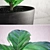 Ficus Lyrata Mini - High-Quality Interior Plant 3D model small image 2