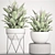 Indoor Plants Collection: 52 Potted Beauties 3D model small image 3