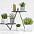 Stylish Planters Set 3D model small image 2