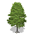 Realistic Textured Tree Model 3D model small image 1