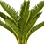 Spectacular Cycas Collection: 54 Potted Beauties 3D model small image 2
