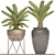 Spectacular Cycas Collection: 54 Potted Beauties 3D model small image 3